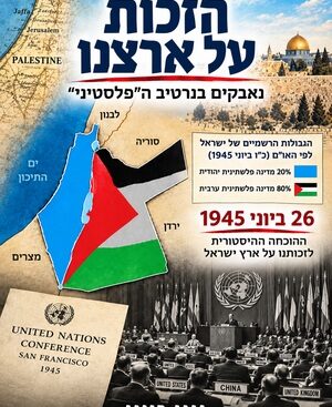 הזכות על ארצנו - יוני רייני